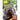 Porcupines