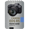 Canon EOS R5: Pocket Guide: Buttons, Dials, Settings, Modes, and Shooting Tips