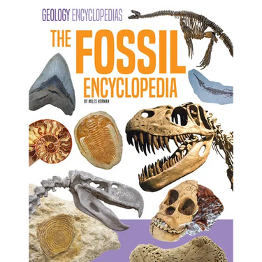 Fossil Encyclopedia