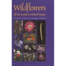 Wildflowers of the Eastern United States
