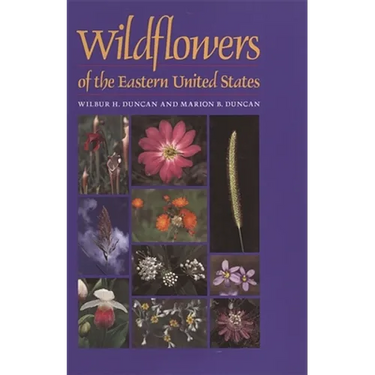 Wildflowers of the Eastern United States