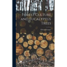 Forest Culture and Eucalyptus Trees