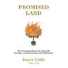 Promised Land: The 10 Commandments for Nonprofit Strategy, Communications, and Fundraising
