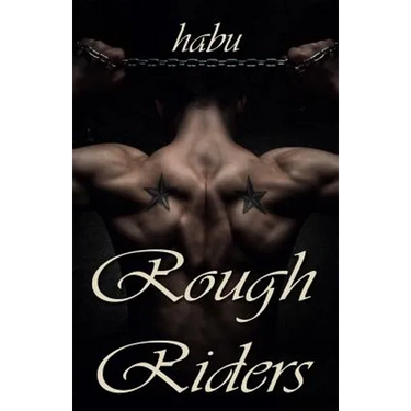 Rough Riders: A Gay Erotica Anthology