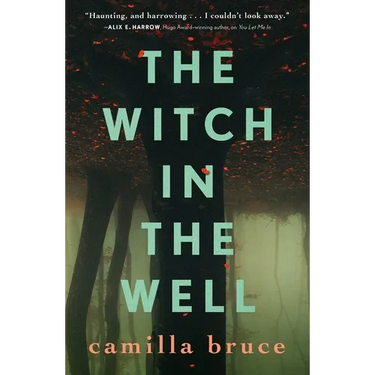 The Witch in the Well