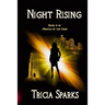 Night Rising