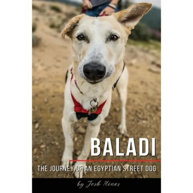 Baladi: The Journey of an Egyptian Street Dog