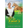 Katie's Amish Choice