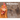 Dear Humans: Humans and chickens are more alike than you may think!