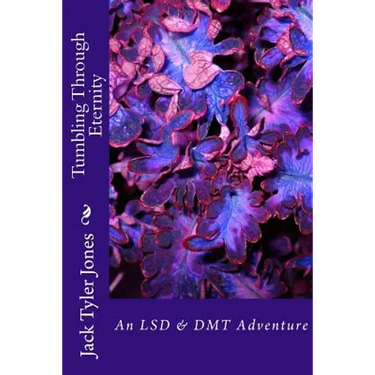 Tumbling Through Eternity: An LSD & DMT Adventure