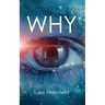Why: Explanation, guide and reference to basic human motivations