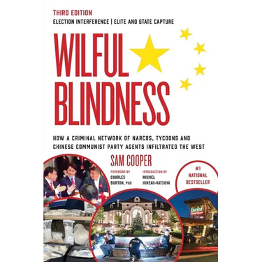 Wilful Blindness Election Interference Elite and State Capture