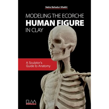Modeling the Ecorche Human Figure in Clay: A Sculptor's Guide to Anatomy