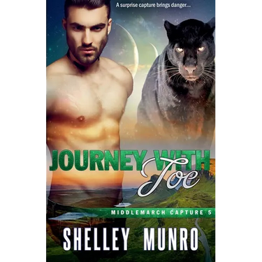 Journey With Joe