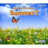 What Can You See in Summer?