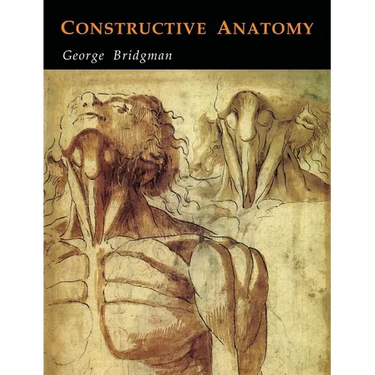 Constructive Anatomy