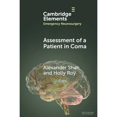 Assessment of a Patient in Coma