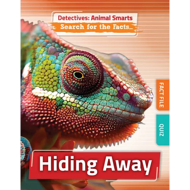 Hiding Away