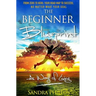 The Beginner Blueprint: From Zero to Hero, Your Road Map to Success, No Matter What Your Goal
