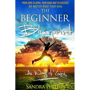 The Beginner Blueprint: From Zero to Hero, Your Road Map to Success, No Matter What Your Goal