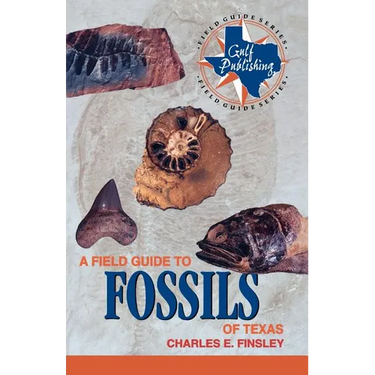 A Field Guide to Fossils of Texas