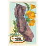 "The Vintage Journal California Map with Bear and Poppies