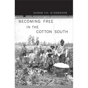 Becoming Free in the Cotton South