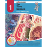 The Five Senses: Fangs of Philosophy - Adventure 1