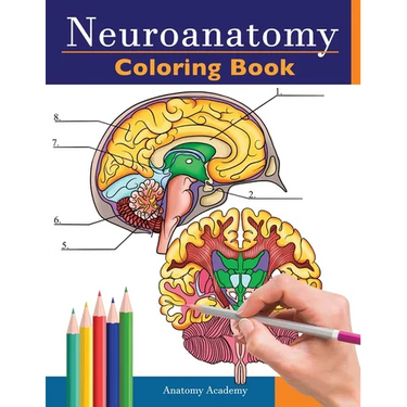 Neuroanatomy Coloring Book: Incredibly Detailed Self-Test Human Brain Coloring Book for Neuroscience Perfect Gift for Medical School Students, Nurses,