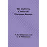The Lightning Conductor Discovers America