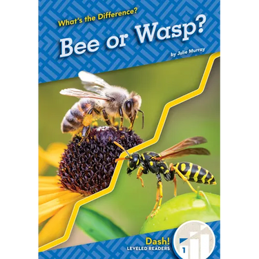 Bee or Wasp?