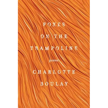 Foxes on the Trampoline