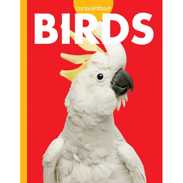 Curious about Birds