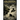 Forlorn Hope
