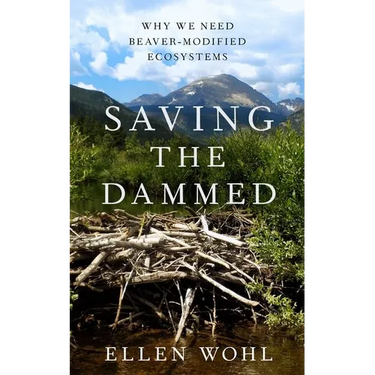 Saving the Dammed: Why We Need Beaver-Modified Ecosystems
