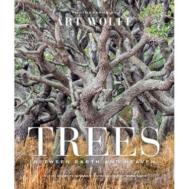 Trees (Gift Edition): Between Earth and Heaven