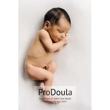 Postpartum & Infant Care Doula WorkBook 2024