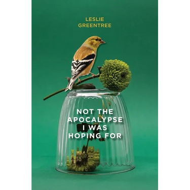 Not the Apocalypse I Was Hoping for