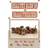 Healthy Glen of Imaal Terriers: How To Take Care Of Them, Training Tips: Treatment For Glen Of Imaal Terriers