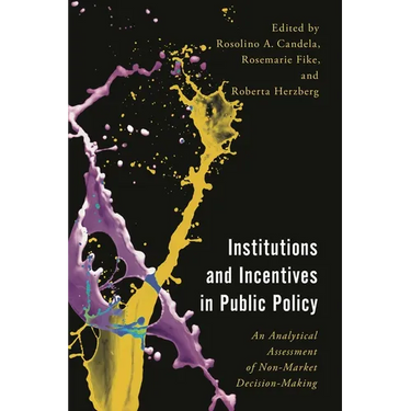 Institutions and Incentives in Public Policy: An Analytical Assessment of Non-Market Decision-Making