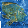 Fly, Float, Leap, Swim, Dive, Walk