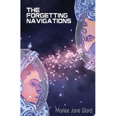 The Forgetting Navigations