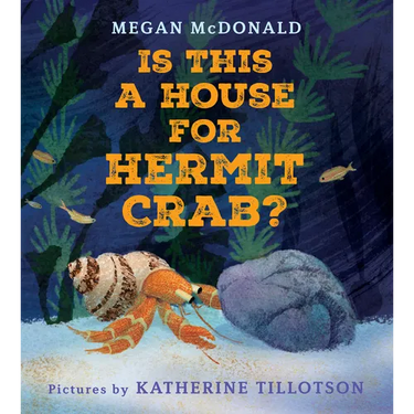 Is This a House for Hermit Crab?