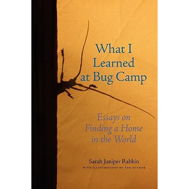 What I Learned at Bug Camp: Essays on Finding a Home in the World