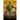 Biblical Canon Lists from Early Christianity: Texts and Analysis
