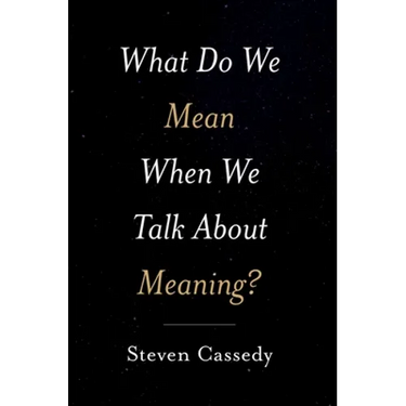 What Do We Mean When We Talk about Meaning?