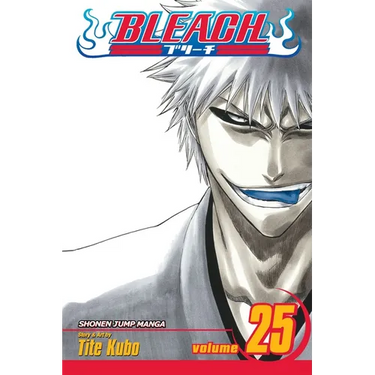 Bleach, Vol. 25: No Shaking Throne