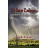The Storm Continues...: Gleaning from the Calm, Storm, and Aftermath of a marriage when the forecast was for sunshine and clear skies!