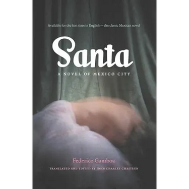 Santa: A Novel of Mexico City