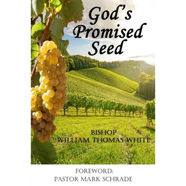 God's Promised Seed: Book Studies of Jesus the Christ